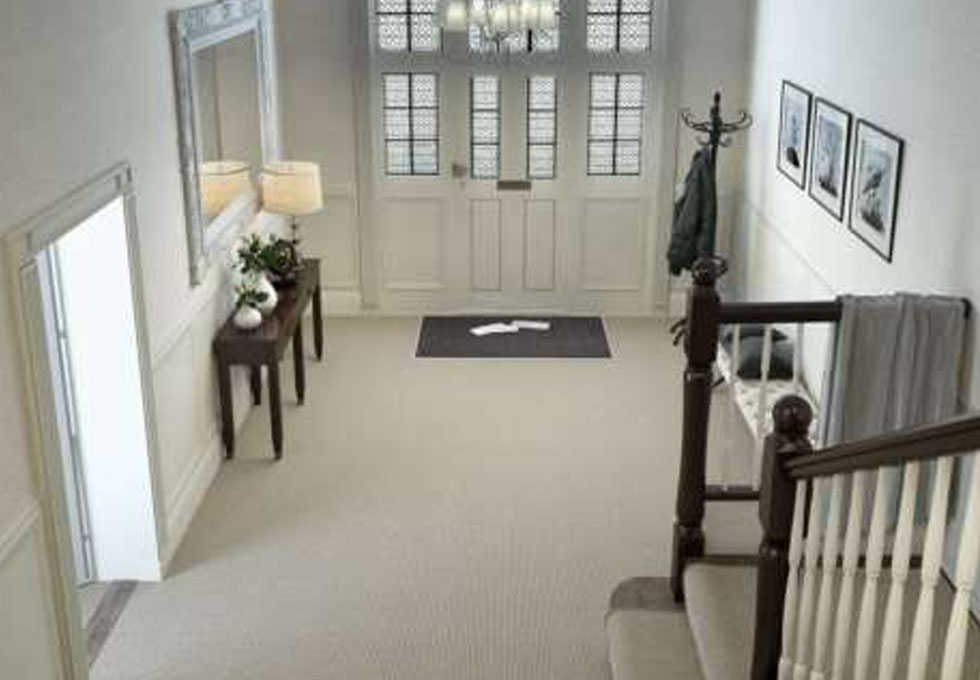 axminster carpet flooring