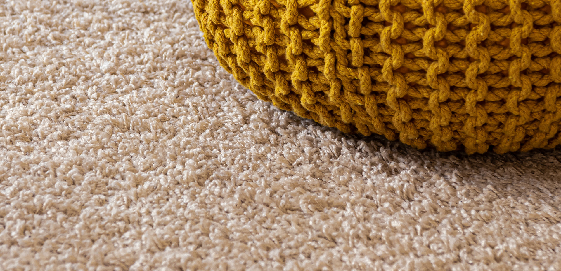 Choosing the Best Pet-Friendly Flooring for Your Home