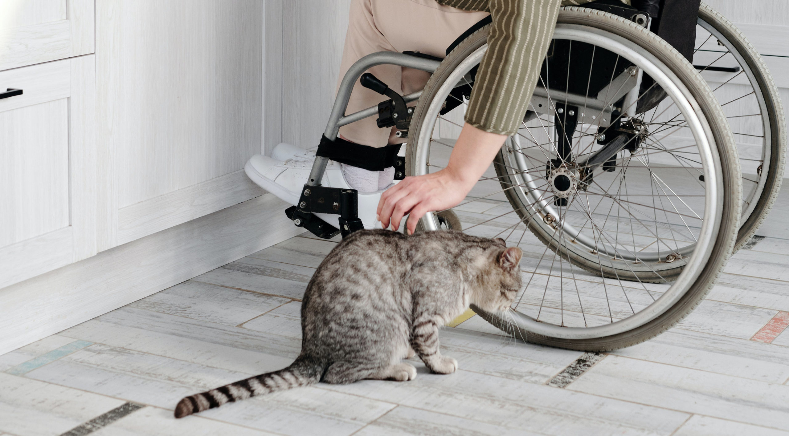accessibility